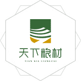 操抽插女神骚逼av